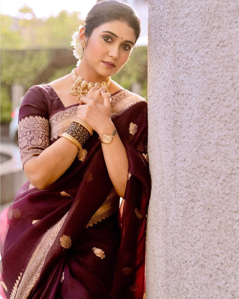 Incredible Wine Soft Silk Saree With Sizzling Blouse Piece