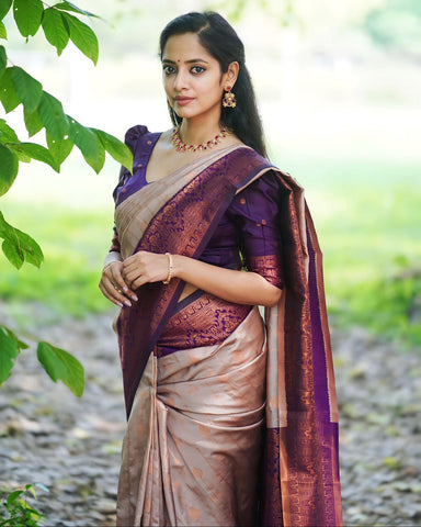 Splendorous Grey Soft Silk Saree With Felicitous Blouse Piece